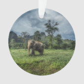 Forces Kao Sok National Park Ornament (voorkant)