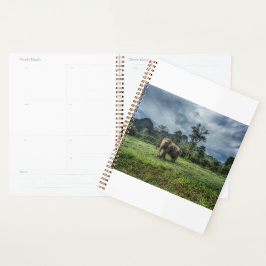 Forces Kao Sok National Park Planner (Display)