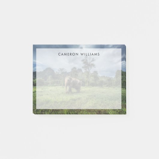 Forces Kao Sok National Park Post-it® Notes (Voorkant)