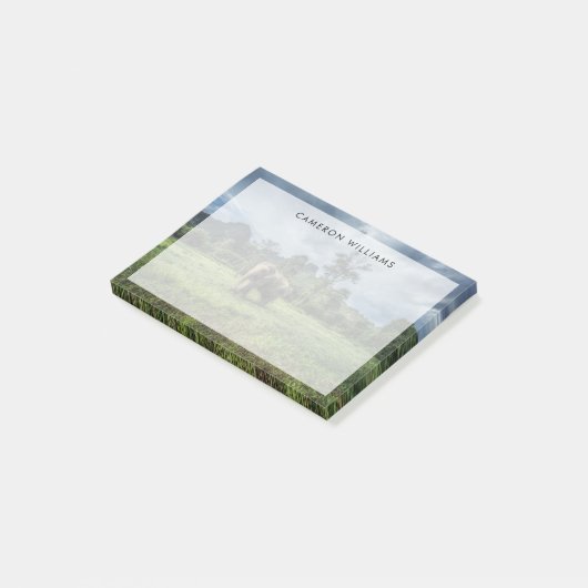 Forces Kao Sok National Park Post-it® Notes (Schuin)