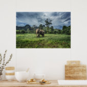 Forces Kao Sok National Park Poster (Keuken)