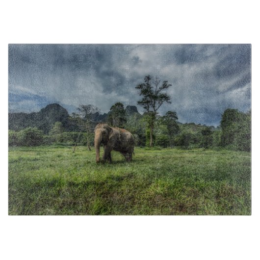 Forces Kao Sok National Park Snijplank (Voorkant)