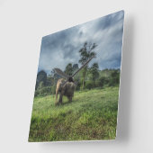 Forces Kao Sok National Park Vierkante Klok (Hoek)