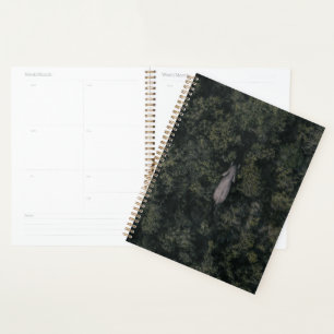 Forces Lalibela Game Reserve Planner
