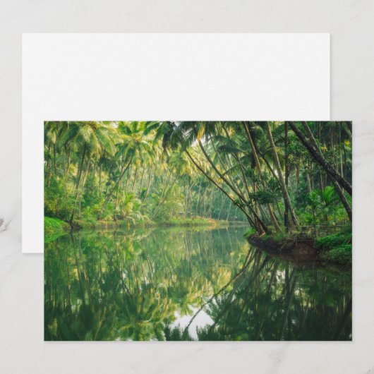 Forces Mangrove Forest Bedankkaart (Voorkant / Achterkant)