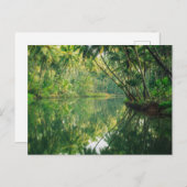 Forces Mangrove Forest Briefkaart (Voorkant / Achterkant)