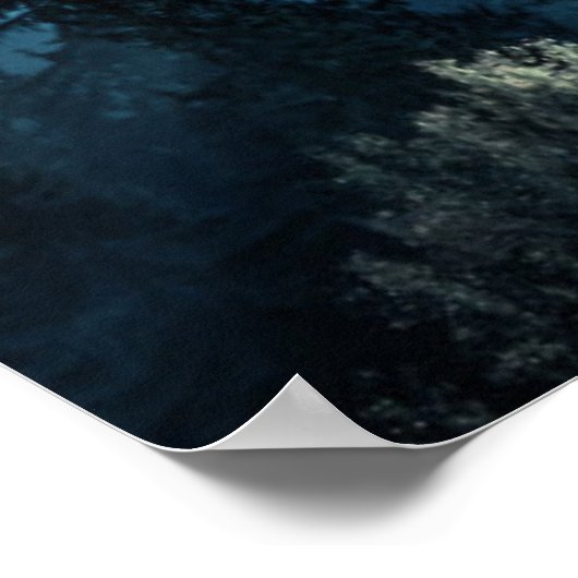 Forces | Moonlit Forest Poster (Hoek)