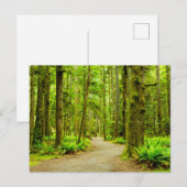 Forces Olympic National Park Briefkaart (Voorkant / Achterkant)