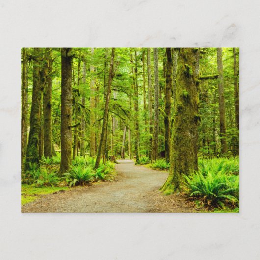 Forces Olympic National Park Briefkaart (Voorkant)