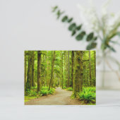 Forces Olympic National Park Briefkaart (Staand voorkant)
