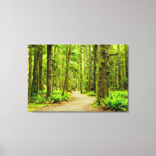 Forces Olympic National Park Canvas Afdruk