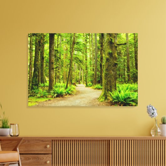 Forces Olympic National Park Canvas Afdruk (Insitu (Woonkamer))