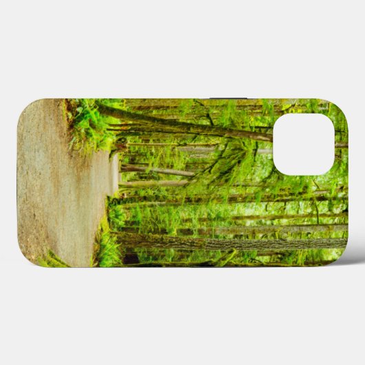 Forces Olympic National Park Case-Mate iPhone Case (Achterkant (horizontaal))