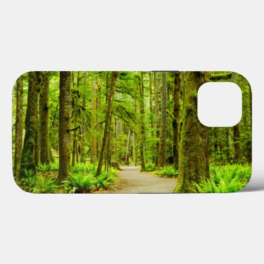 Forces Olympic National Park Case-Mate iPhone Case (Achterkant (horizontaal))
