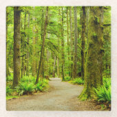 Forces Olympic National Park Glazen Onderzetter (Voorkant)