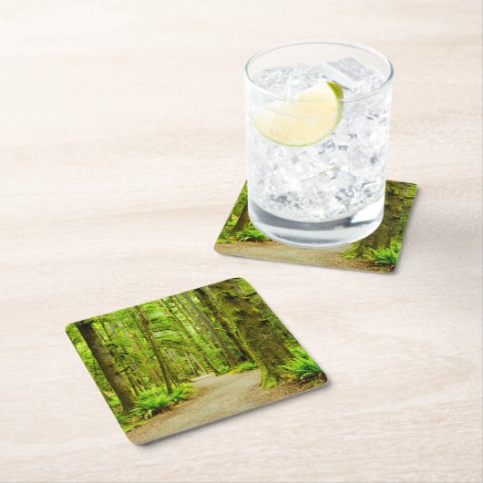 Forces Olympic National Park Kartonnen Onderzetters (Insitu)