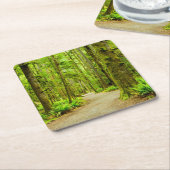 Forces Olympic National Park Kartonnen Onderzetters (Schuin)