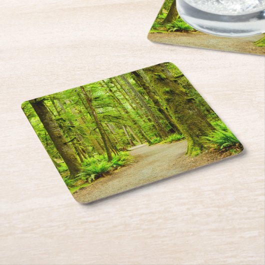 Forces Olympic National Park Kartonnen Onderzetters (Schuin)