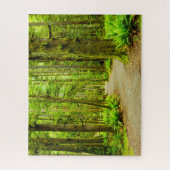 Forces Olympic National Park Legpuzzel (Verticaal)