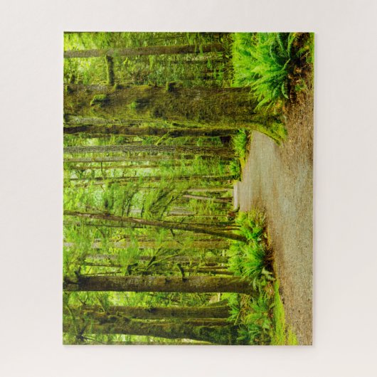 Forces Olympic National Park Legpuzzel (Verticaal)