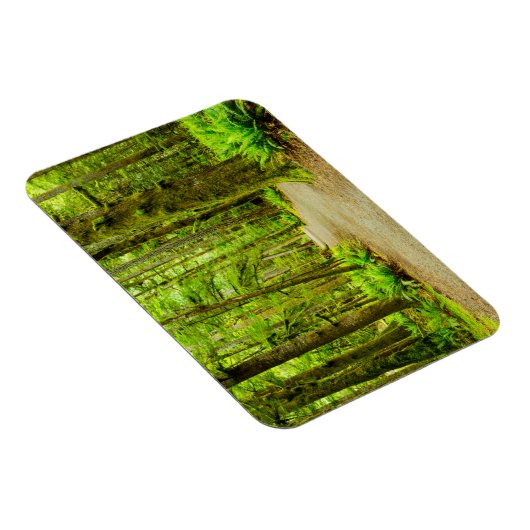 Forces Olympic National Park Magneet (Rechterzijde)