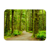 Forces Olympic National Park Magneet (Horizontaal)