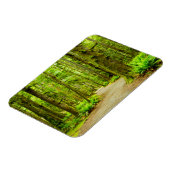 Forces Olympic National Park Magneet (Linkerzijde)