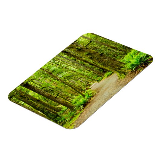 Forces Olympic National Park Magneet (Linkerzijde)