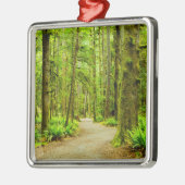 Forces Olympic National Park Metalen Ornament (Links)