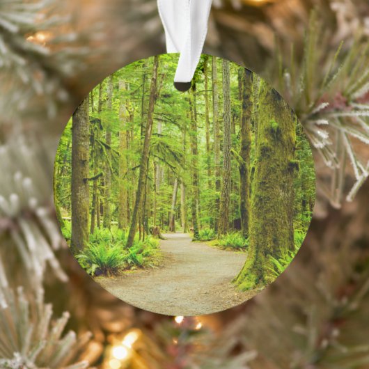 Forces Olympic National Park Ornament (Boom)