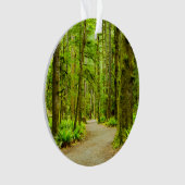 Forces Olympic National Park Ornament (voorkant)