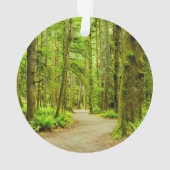 Forces Olympic National Park Ornament (achterkant)