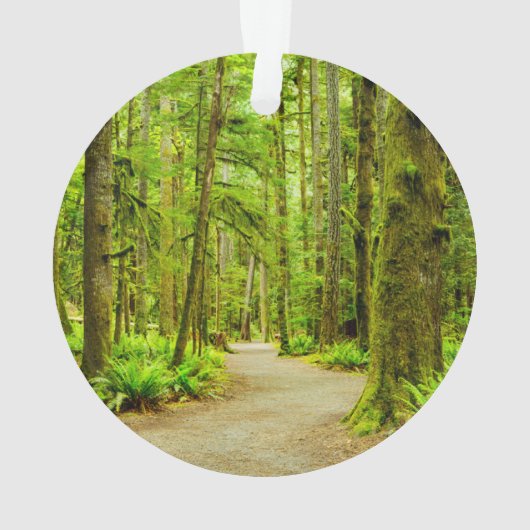 Forces Olympic National Park Ornament (achterkant)