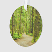 Forces Olympic National Park Ornament (voorkant)