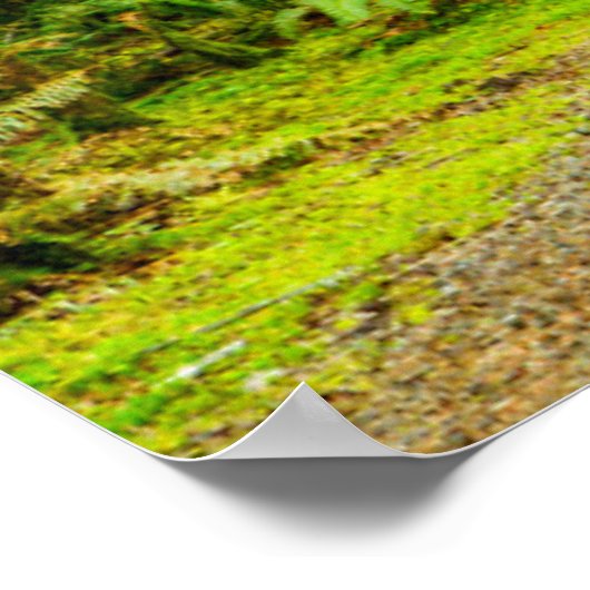 Forces Olympic National Park Poster (Hoek)