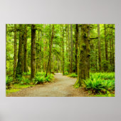 Forces Olympic National Park Poster (Voorkant)