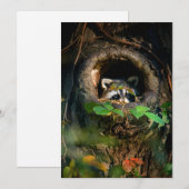 Forces | Raccoon Peeking Bedankkaart (Voorkant / Achterkant)