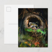 Forces | Raccoon Peeking Briefkaart (Voorkant / Achterkant)