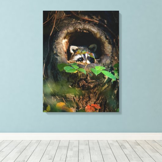 Forces | Raccoon Peeking Canvas Afdruk (Insitu (Houten vloer))