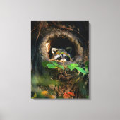 Forces | Raccoon Peeking Canvas Afdruk (Voorkant)