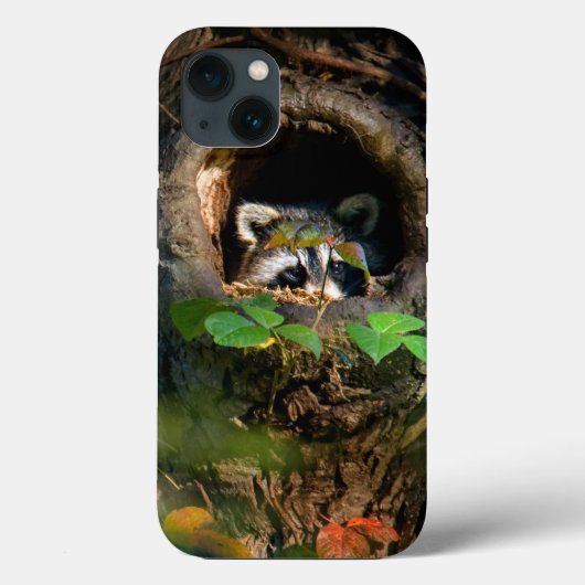 Forces | Raccoon Peeking Case-Mate iPhone Case (Achterkant)