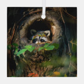 Forces | Raccoon Peeking Glas Ornament (Achterkant)