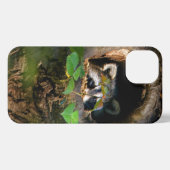 Forces | Raccoon Peeking iPhone Hoesje (Achterkant horizontaal)