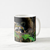 Forces | Raccoon Peeking Koffiemok (Voorkant rechts)