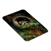 Forces | Raccoon Peeking Magneet (Rechterzijde)