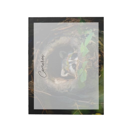 Forces | Raccoon Peeking Notitieblok (Linkerzijde)