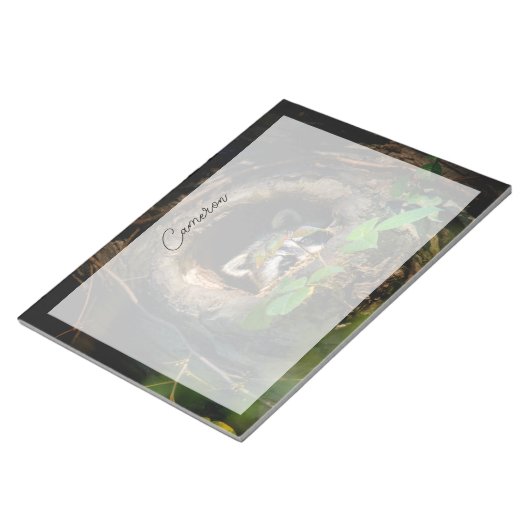 Forces | Raccoon Peeking Notitieblok (Schuin)