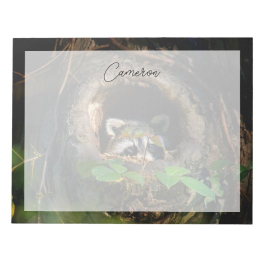 Forces | Raccoon Peeking Notitieblok (Voorkant)