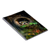 Forces | Raccoon Peeking Notitieboek (Rechterzijde)