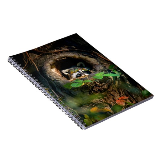 Forces | Raccoon Peeking Notitieboek (Rechterzijde)